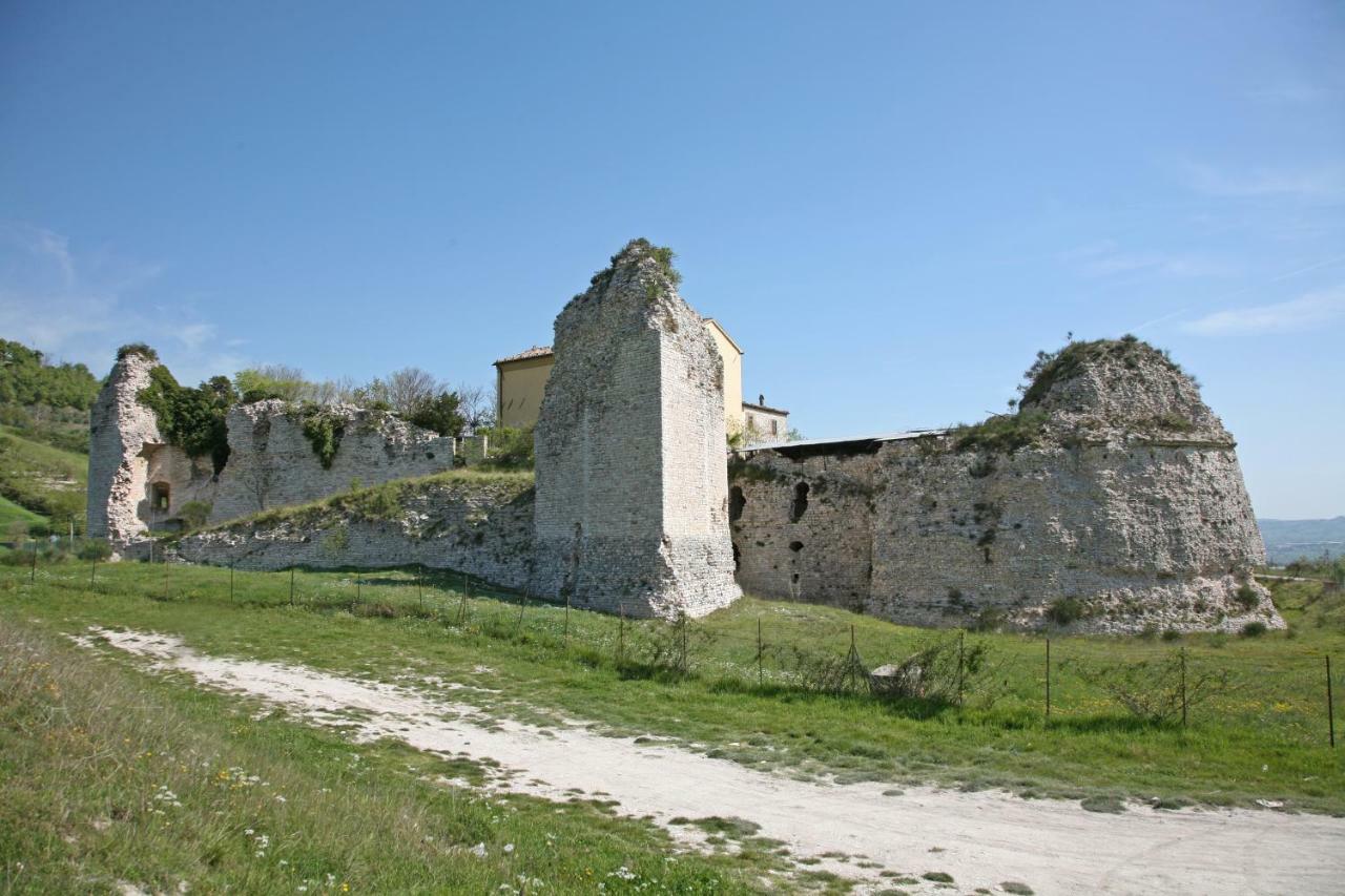 Il Cavallino Fossombrone Exteriér fotografie